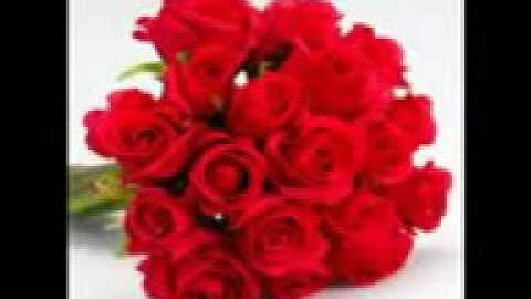 سورة الفجر والضحى والشرح والدعاء الشيخ محمود القزاز