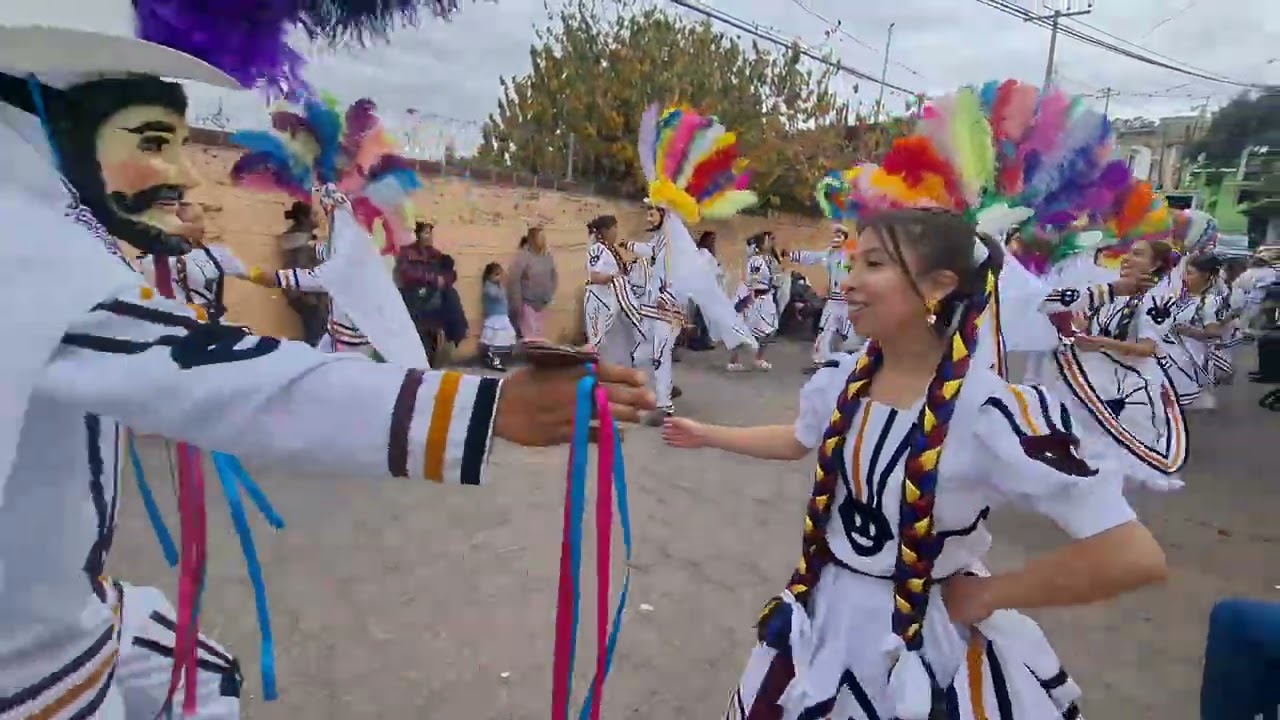 Tepetlapa Máster, Remate 2026