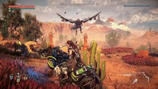Robo bird is a meanie | #dani_is_a_fangirl on #Twitch screenshot 5