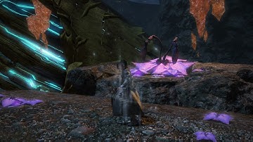 The Second Coil of Bahamut Turn 1 (Savage) MiNE Clear