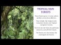 Natural Vegetation - CBSE NCERT Social Science - YouTube