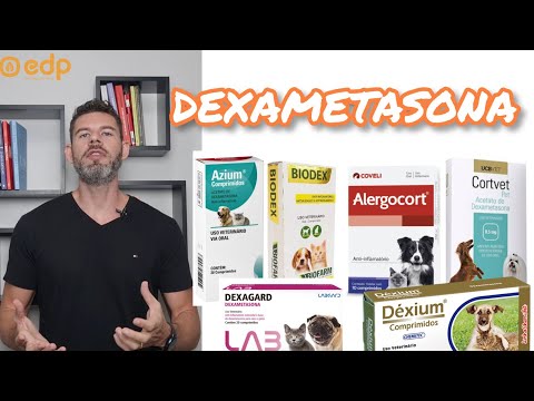 Vídeo:  Com modernas opções veterinárias e um mundo de novos produtos para ajudar, as alergias em cães podem ser melhor administradas do que nunca. Isso significa que você e seu animal de