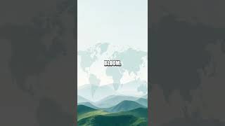 Atlastv The Quiet Birth Of A Per-Country Knowledge Channel