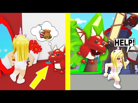 My Pet Dragon Tried To Eat Me In Adopt Me Roblox Youtube