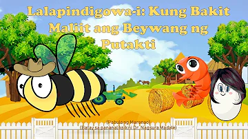 LALAPINDIGOWA-I: KUNG BAKIT MALIIT ANG BEYWANG NG PUTAKTI │DR. NAGSURA MADALE