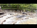 じゃぶじゃぶ池で水遊び