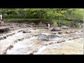 府中市郷土の森博物館のじゃぶじゃぶ池で水遊び の動画、YouTube動画。