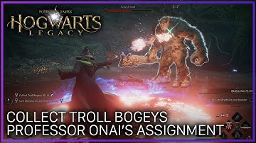 Hogwarts Legacy | Professor Onai