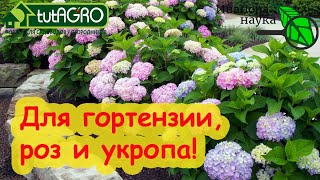 СУПЕР УДОБРЕНИЕ ДЛЯ РОЗ, УКРОПА, ГОЛУБИКИ и ГОРТЕНЗИЙ. Особая подкормка для особенных растений.