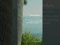 “চিন্তা করবেন না—আল্লাহ আছেন 💛 | Islamic Motivation | Trust Allah”