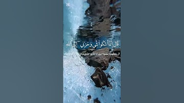 #اكسبلور تلاوة ماشاء الله #لايك