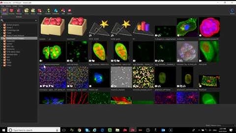Imaris Intro tutorial session 2   UCSF 080918