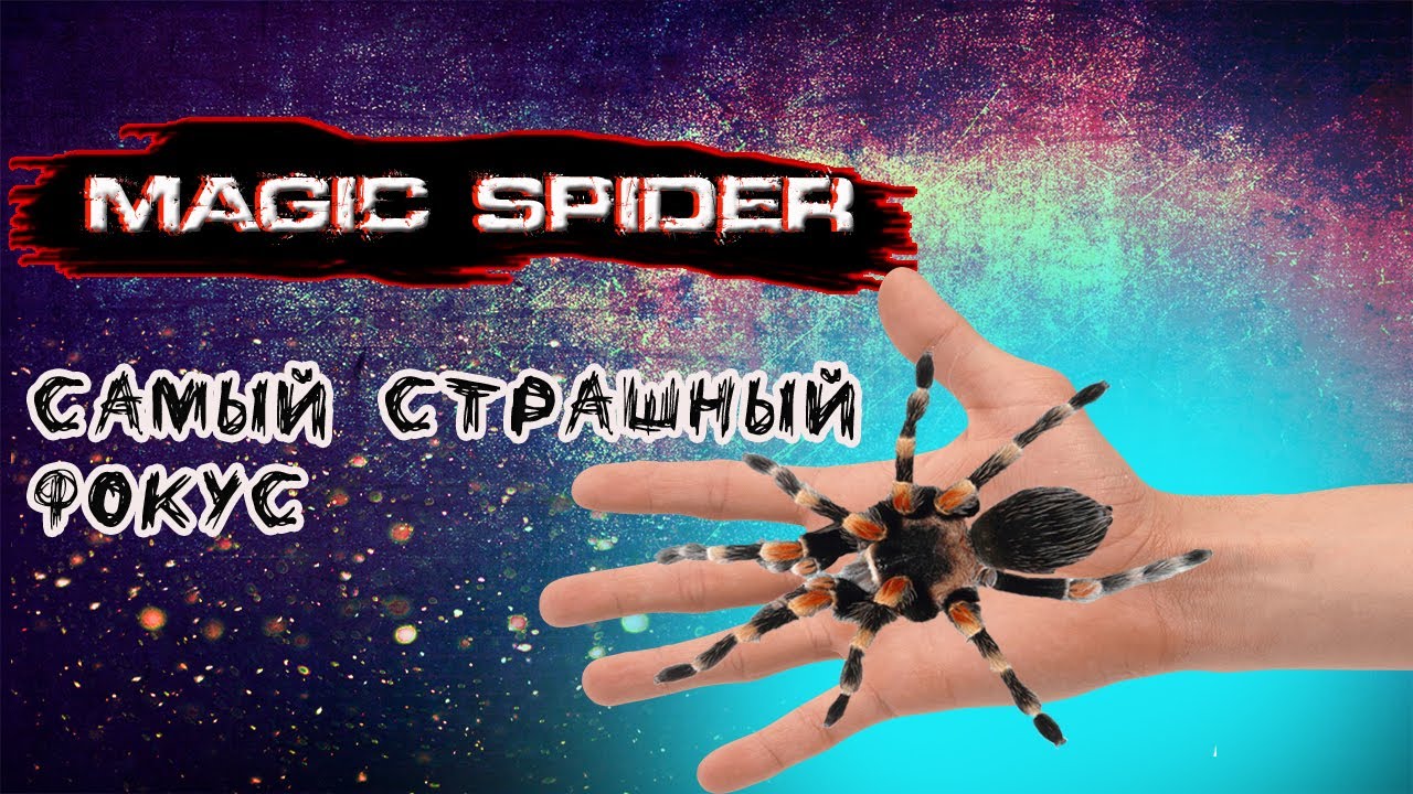 САМЫЙ СТРАШНЫЙ ФОКУС!🕷 ФОКУС ОТ MAGIC FIVE! MAGIC SPIDER MAGIC APP