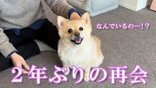 2年ぶりに大好きな友達と再会した愛犬の反応が感動的でした…