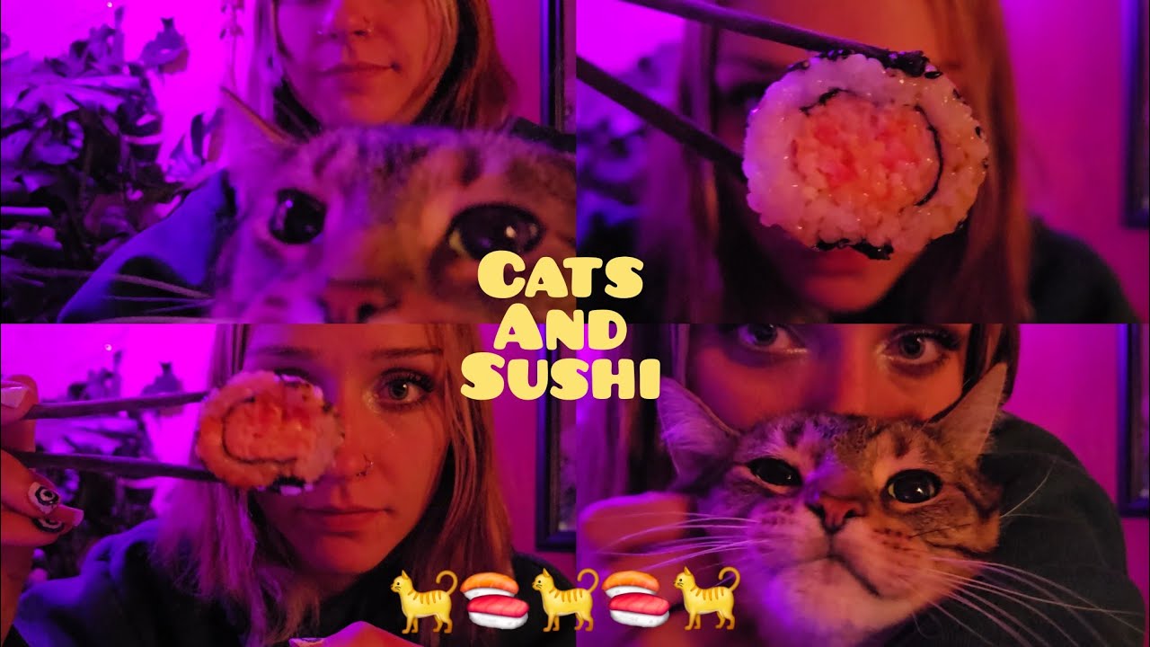 Eating Sushi with My Cat 🐈 