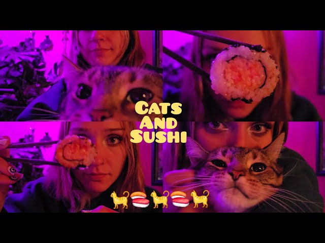 Eating Sushi with My Cat 🐈 