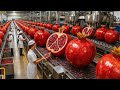 Inside a Modern Pomegranate Factory: From Raw Pomegranates to Bottled Premium Juice (Full Process)