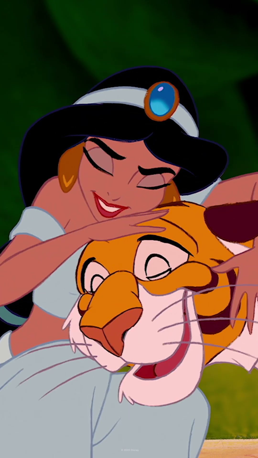 ¡Conoce El Mundo de las Princesas!