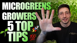 Top 5 Tips For Beginner Microgreen Growers 2024