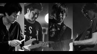 te'  Live@Sine Cosine Fest 2019 in Shibuya