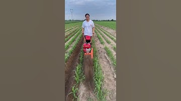Máy xới đất máy cày đất máy xạc cỏ máy vun luống  #automobile #farming #agriculture #machine #funny
