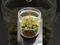 Bikano Matar Masala Crunchy Spicy Green Peas #shorts#youtubeshorts#indian#snacks#matarmasala#short