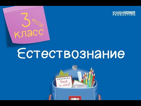 Естествознание. 3 класс. Что такое почва /11.01.2021/