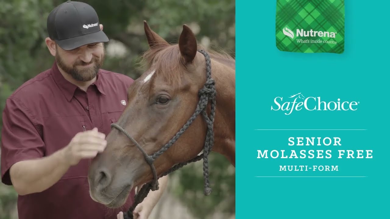 Nutrena SafeChoice Senior Molasses Free
