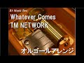 Whatever Comes TM NETWORK オルゴール アニメ 劇場版シティーハンター 天使の涙 エンジェルダスト OP