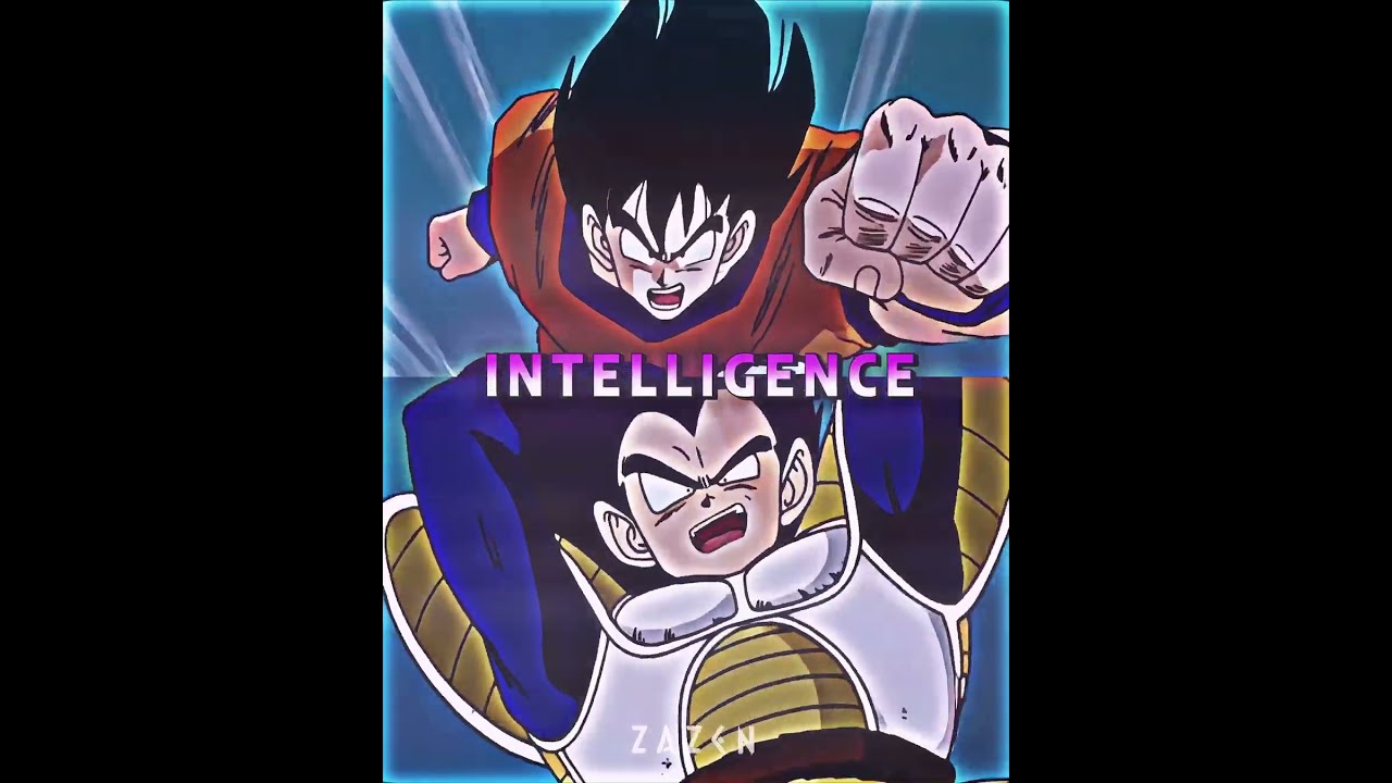 Goku Vs Vegeta Saiyan Saga 