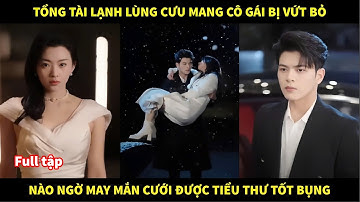 Tổng tài lạnh lùng cưu mang cô gái bị vứt bỏ, nào ngờ may mắn cưới được tiểu thư tốt bụng