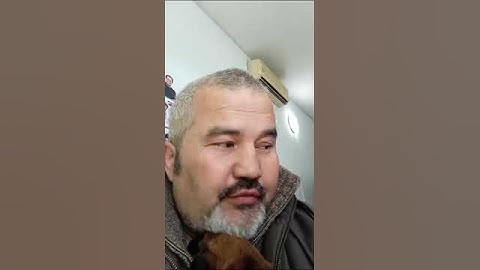 наша белка родила троих щенят