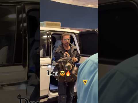 Shahrukh Khan At The Airport With A Louis Vuitton Bag Price Srk