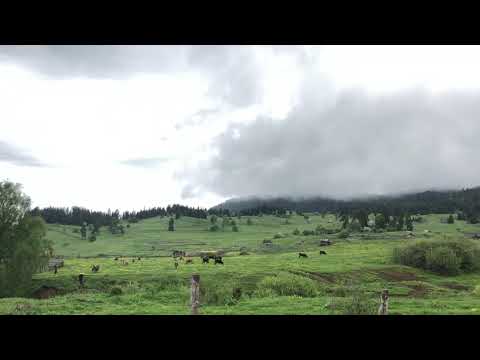 სოფ. დაბაძველი 2019 ( Village Dabadzveli )