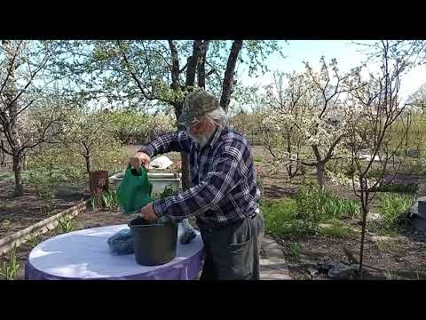 Что нужно сделать