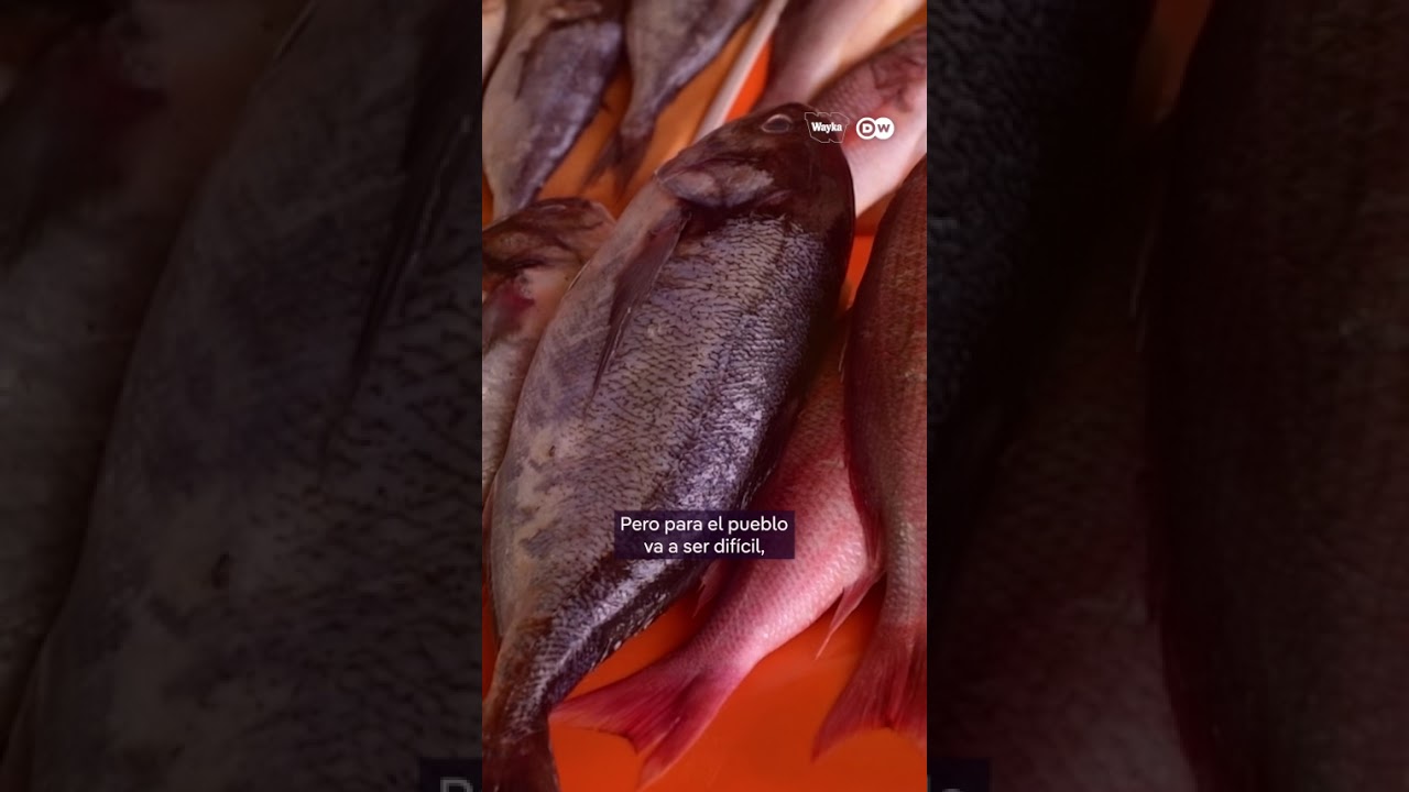 Pescado y ceviche peruano más caro por el alza del combustible