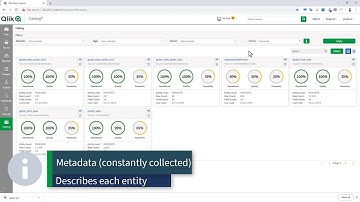 Qlik Catalog Product Tour - The Catalog