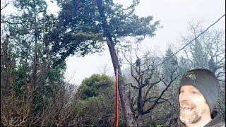 Caught on Tape! Tree vs Power line by August Hunicke 35,126 views 3 months ago 17 minutes