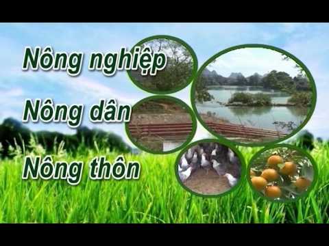 Chủ động chăm sóc cây trồng, đón vụ mới hiệu quả