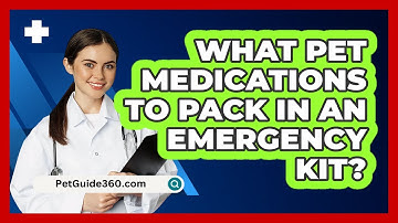 What Pet Medications to Pack in an Emergency Kit?