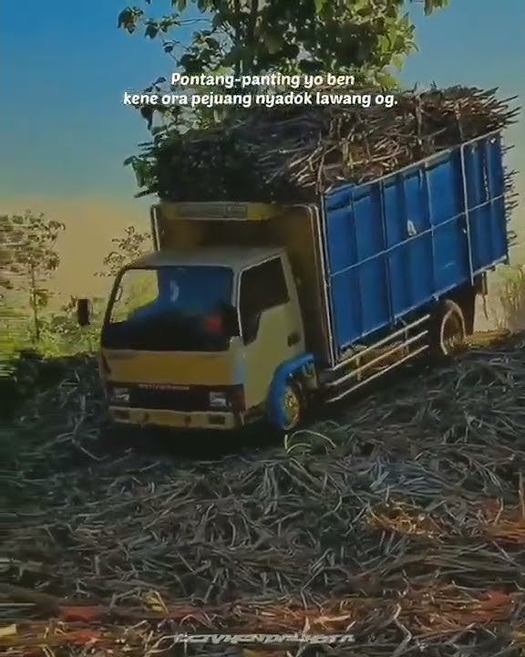 [story'wa 24detik]. QUOTES truk pontang-panting Yo lah kene ora pejuang nyaduk lawang