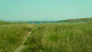 Deniz Kokusu - Bülent Ortaçgil&Fikret Kızılok Resimi