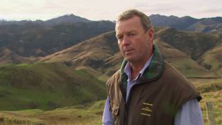 Grass Fed Marbled Angus Beef at Mt Linton