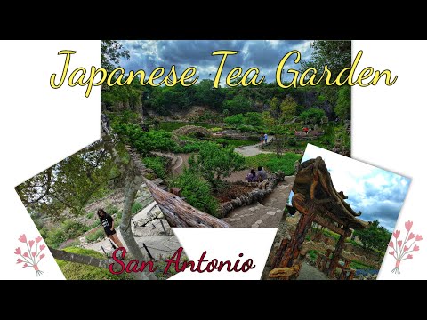 Japanese Tea Garden San Antonio