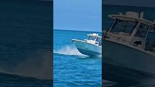 Boat Cruising Through Haulover Inlet — Pure Miami Energy 🌊🚤