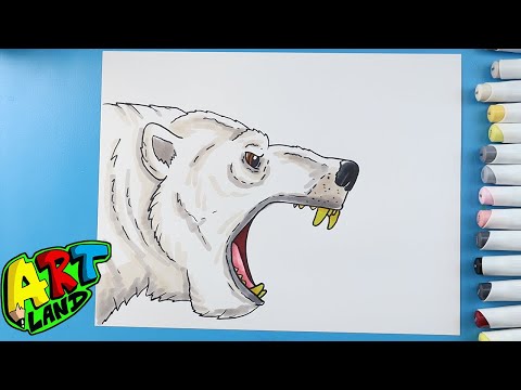 How to Draw a Polar Bear Face