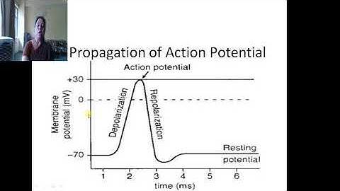 EL 306, UNIT 1,  TOPIC 1.4 (2) ,Generation,Propagation and Distribution of Action Potential