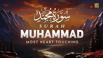 Surah Muhammad سورة محمد | Relaxing heart touching voice | Zikrullah TV