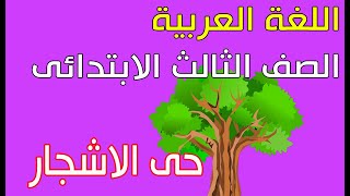 درس حى الاشجار - الدحيح فى اللغة العربية - الصف الثالث الابتدائى
