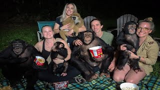 Pop Corn AND MOVIE NIGHT with the Chimpanzee Brothers!!